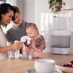 Avent Steriliser Et Conserver Scf291/00