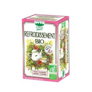 Romon Infusion Refroidissement 20*1.8g