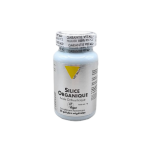 Vit'all+ Silice 100mg 30gelules