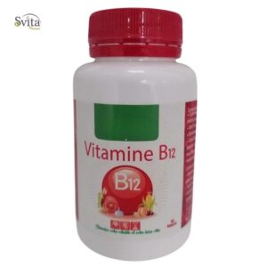 Premium Vitamine B12 60gelules